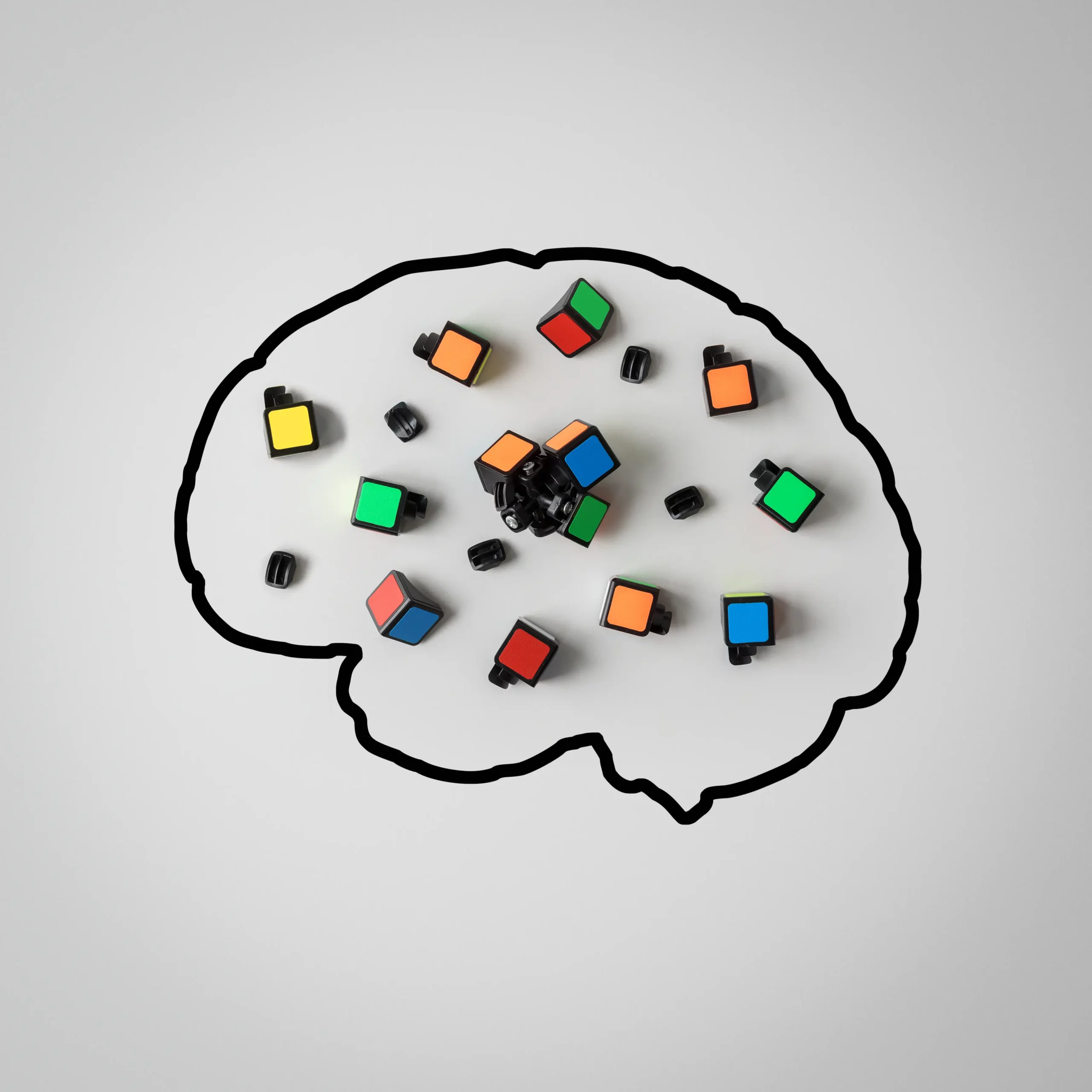 Nouvelle formation INTER : Les neurosciences